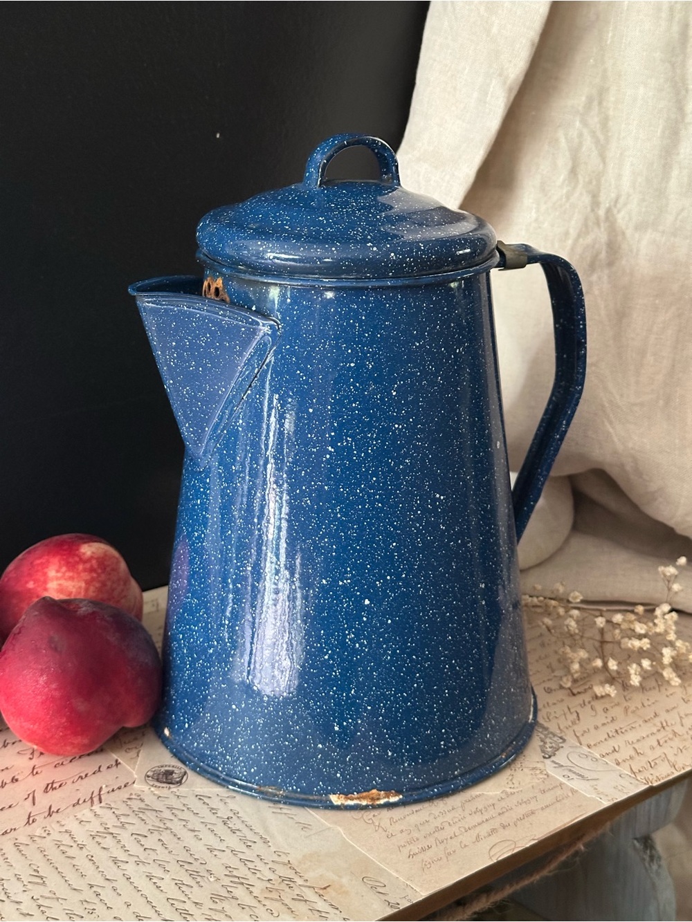 Blue & White Speckled Enamel Metal Coffee Pot Percolator w/ Lid and Spout